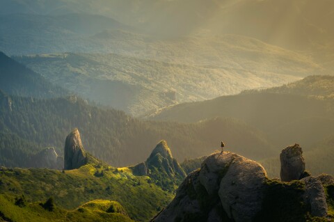 David marcu 78a265wpio4 unsplash