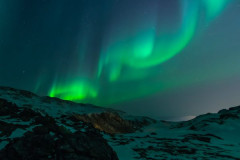 Img lights